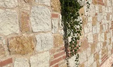 Sassi