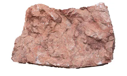 Sasso rosso Verona
